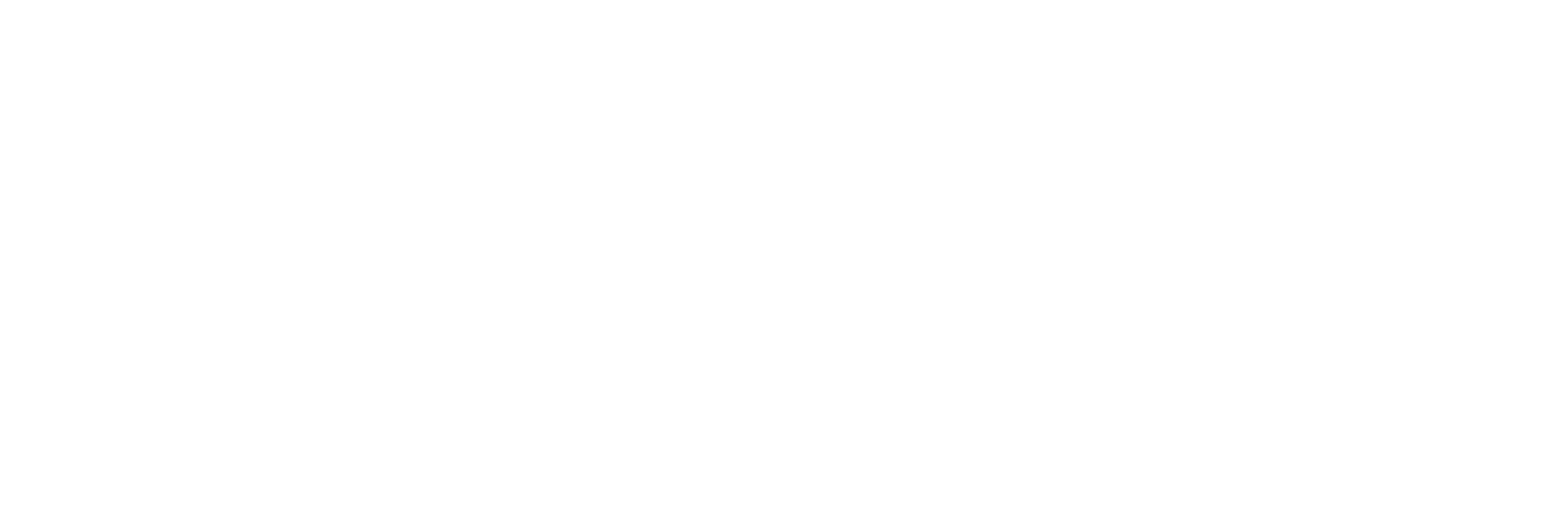 Bizzar Logo White